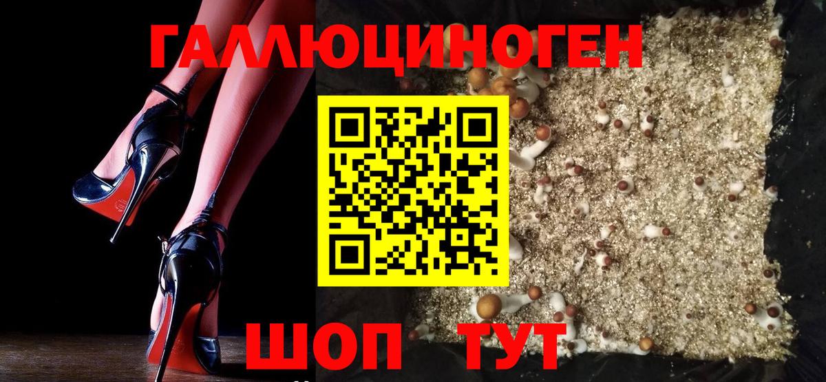 Солнечногорск  Псилоцибиновые грибы GOLDEN TEACHER  Вход с VPN 