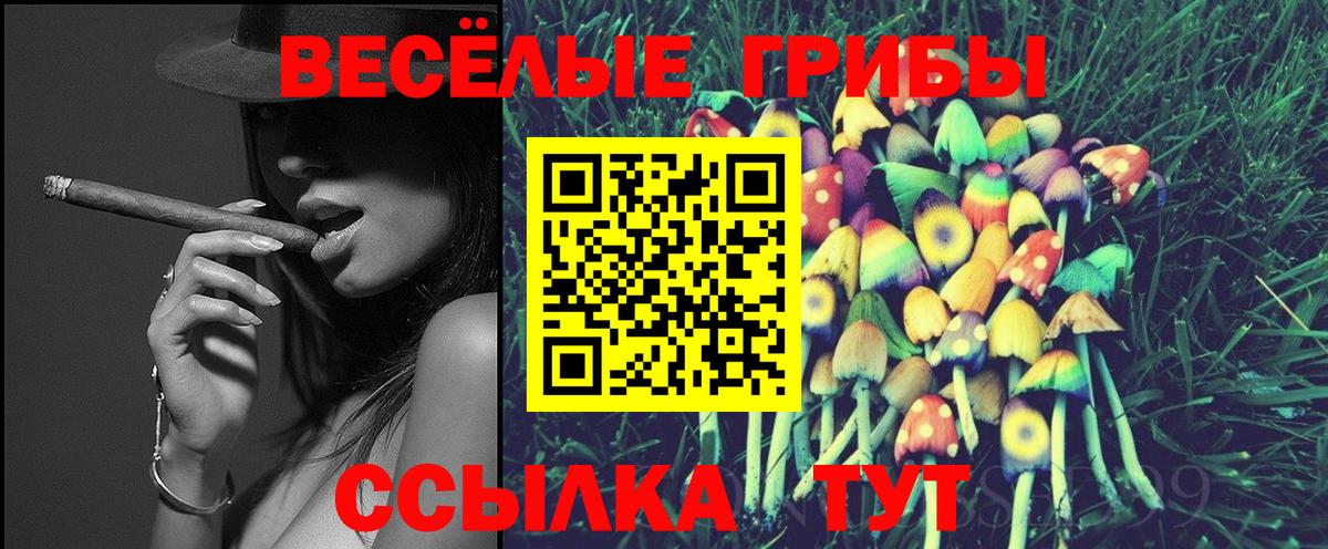 Псилоцибиновые грибы Psilocybine cubensis Солнечногорск